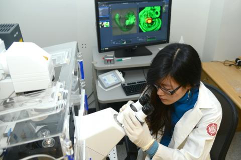 Reproductive Endocrinology Lab | Weill Cornell Medicine